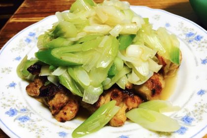 Sauteed chicken and green onions on top.