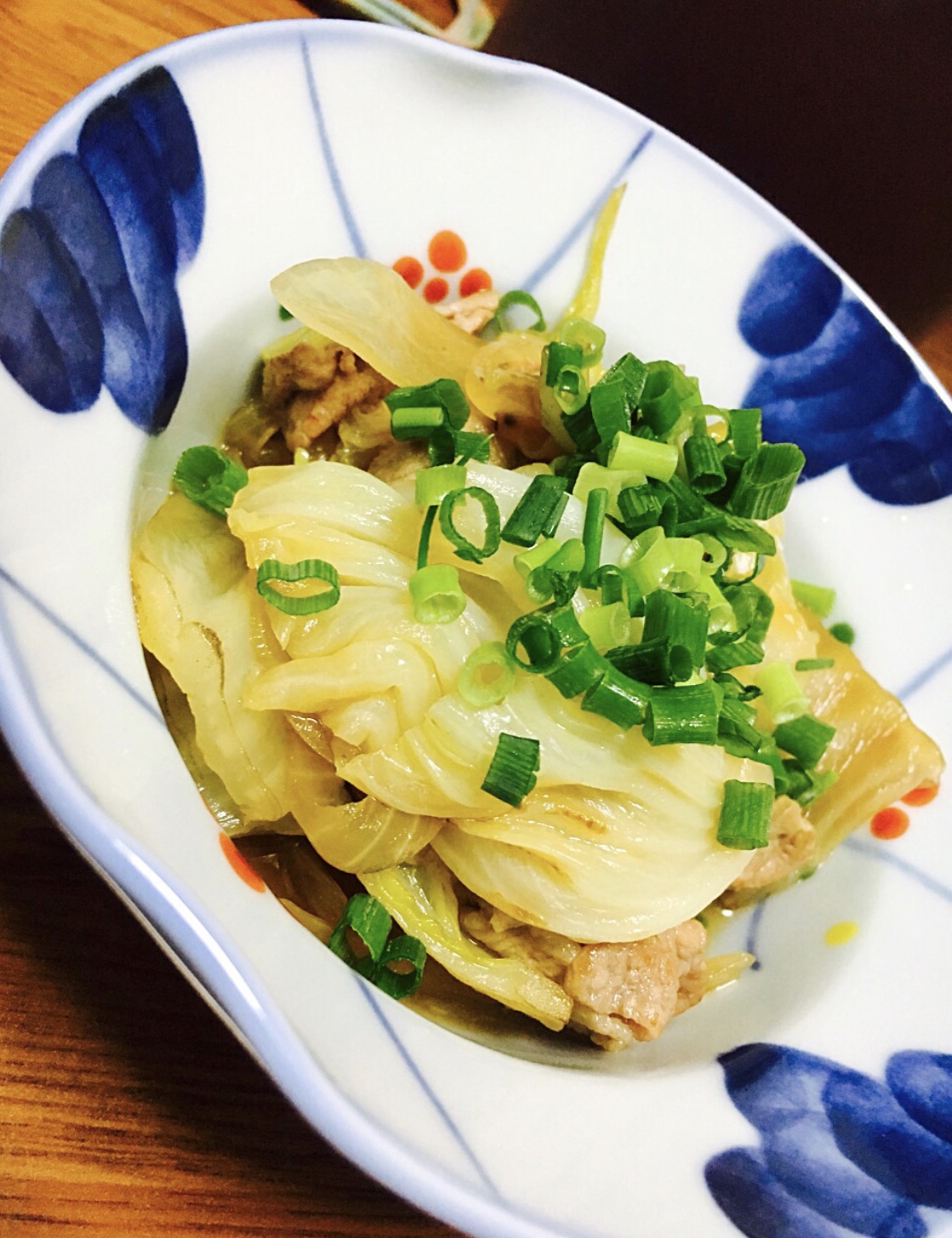 Simmered Pork Belly and chinese cabbage, and chopped green onions on top.